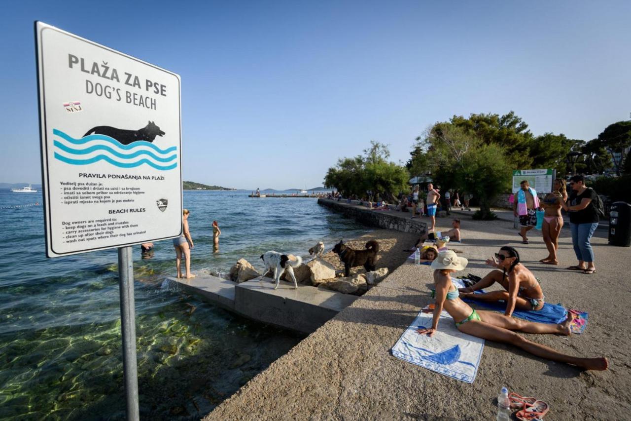 Villa Koraljka Vodice Zewnętrze zdjęcie